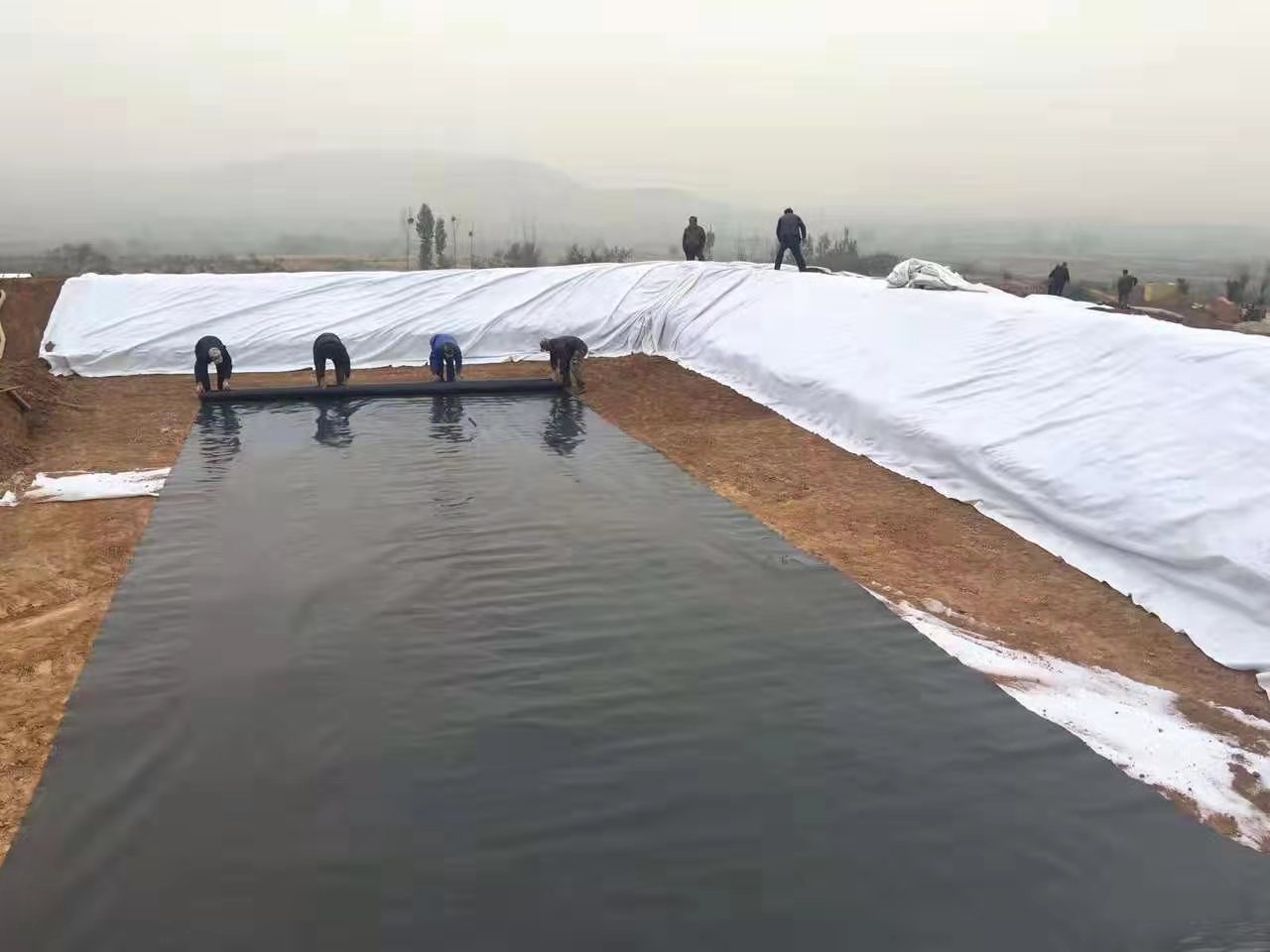  為何通常推薦養殖大戶應用黑色的土工膜？